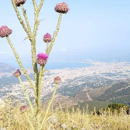 Casa 3t A Isola A 15 Min Dal Centro Di Palermo